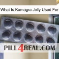 What Is Kamagra Jelly Used For 30